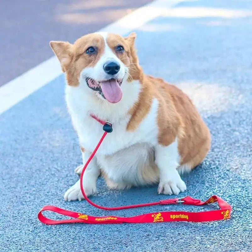 Training Dog Choking Rope 2 In 1 Collar 150Cm P-Shaped Chain Slip Lead Control Leash For Small Large Competition Dogs