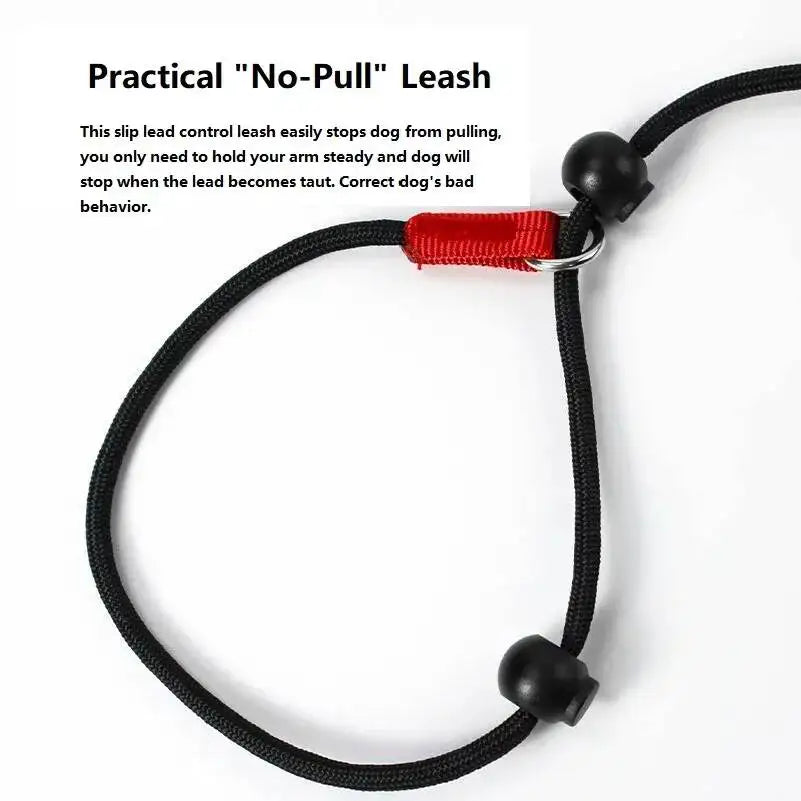 Training Dog Choking Rope 2 In 1 Collar 150Cm P-Shaped Chain Slip Lead Control Leash For Small Large Competition Dogs