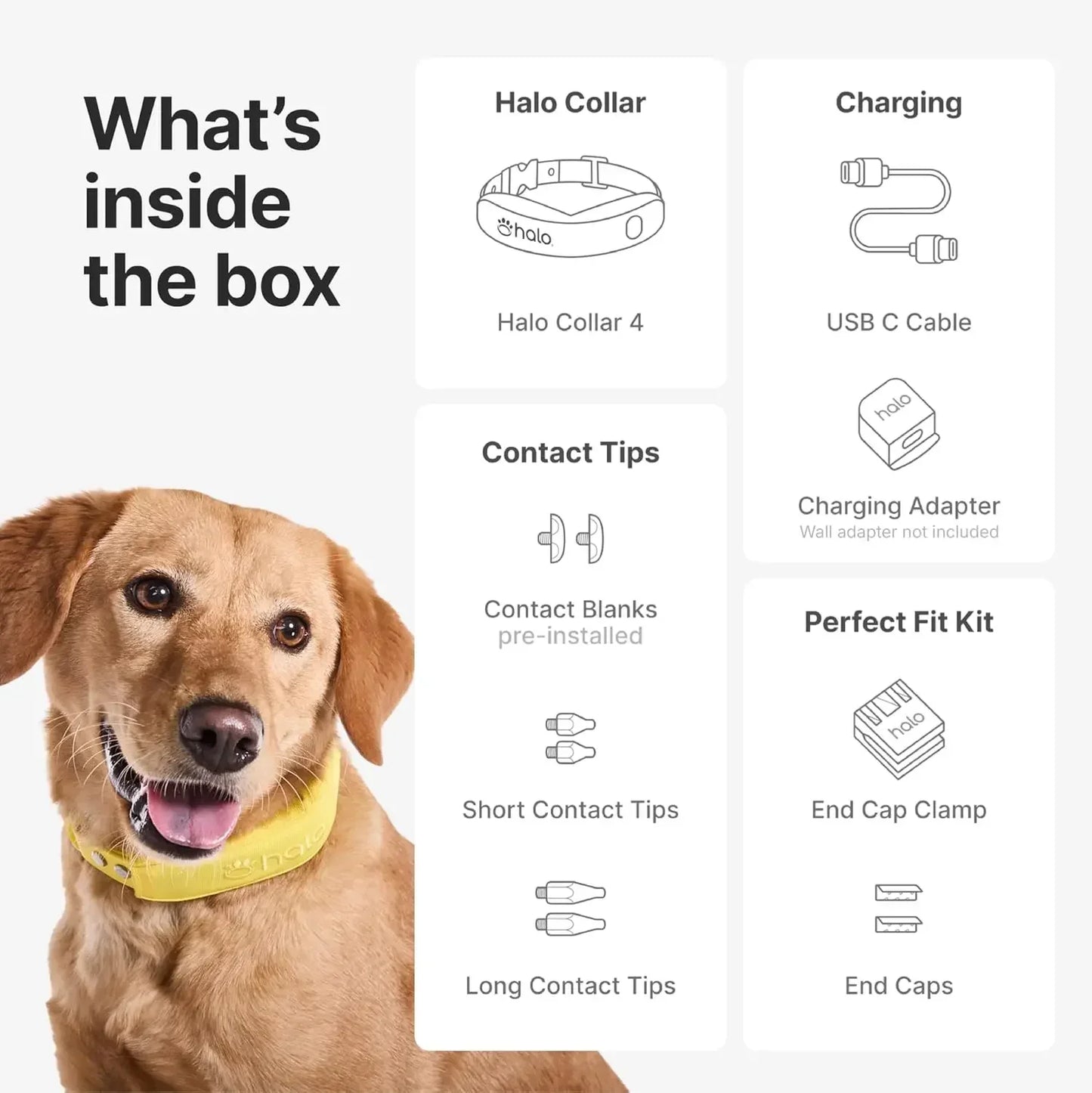 Collar, Keep Your Dog Safely Contained Outdoors with App-Controlled Boundaries and Real-Time Tracking, One Size, Graphite
