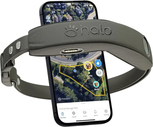 Collar, Keep Your Dog Safely Contained Outdoors with App-Controlled Boundaries and Real-Time Tracking, One Size, Graphite