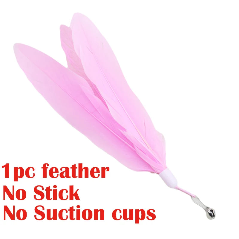 Interactive Cat Teaser Wand Toy With Feather And Suction Cup