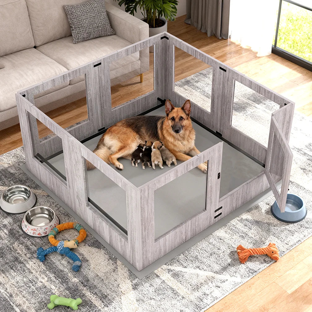 BORWART Heavy Duty Dog Whelping Box With Tempered Glass Enclosure