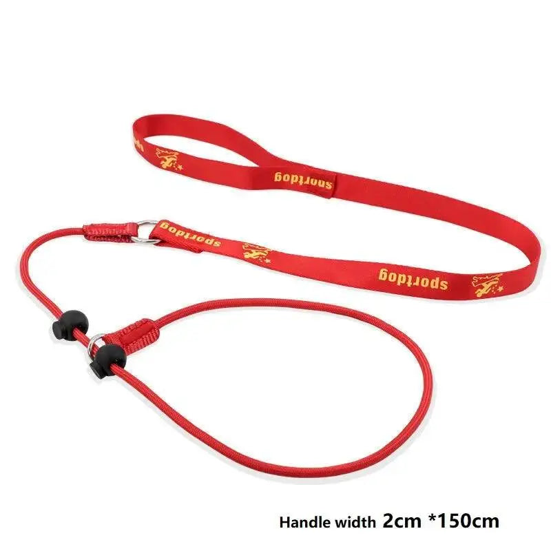 Training Dog Choking Rope 2 In 1 Collar 150Cm P-Shaped Chain Slip Lead Control Leash For Small Large Competition Dogs