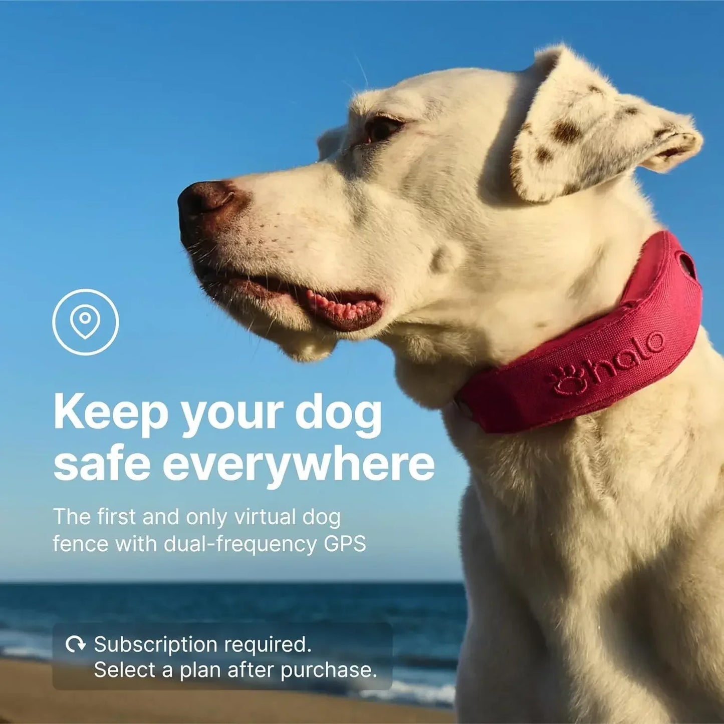 Collar, Keep Your Dog Safely Contained Outdoors with App-Controlled Boundaries and Real-Time Tracking, One Size, Graphite