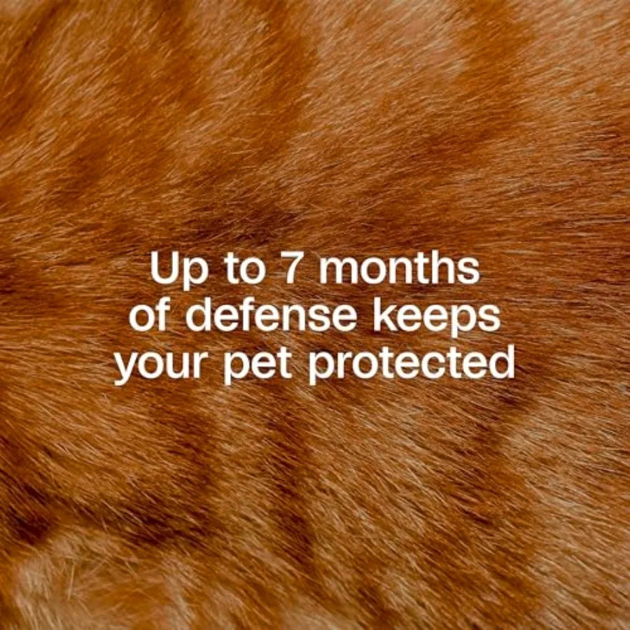 Plus Flea and Tick Collar for Cats, Flea Collar for 7-Month Prevention, Adjustable Collar Fits Cats and Kittens, Kills Fleas an